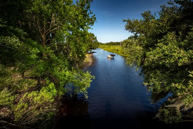 The Peace River winding through the Wilson family ranch in Bartow