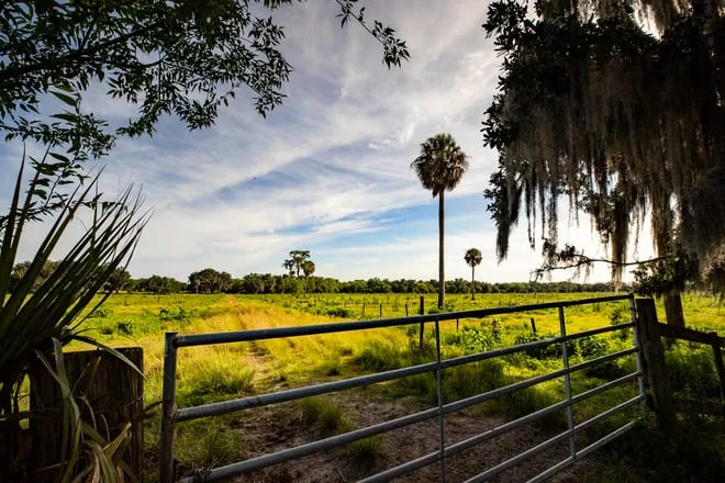 Pasture and fence line on the Wilson family ranch at sunset
